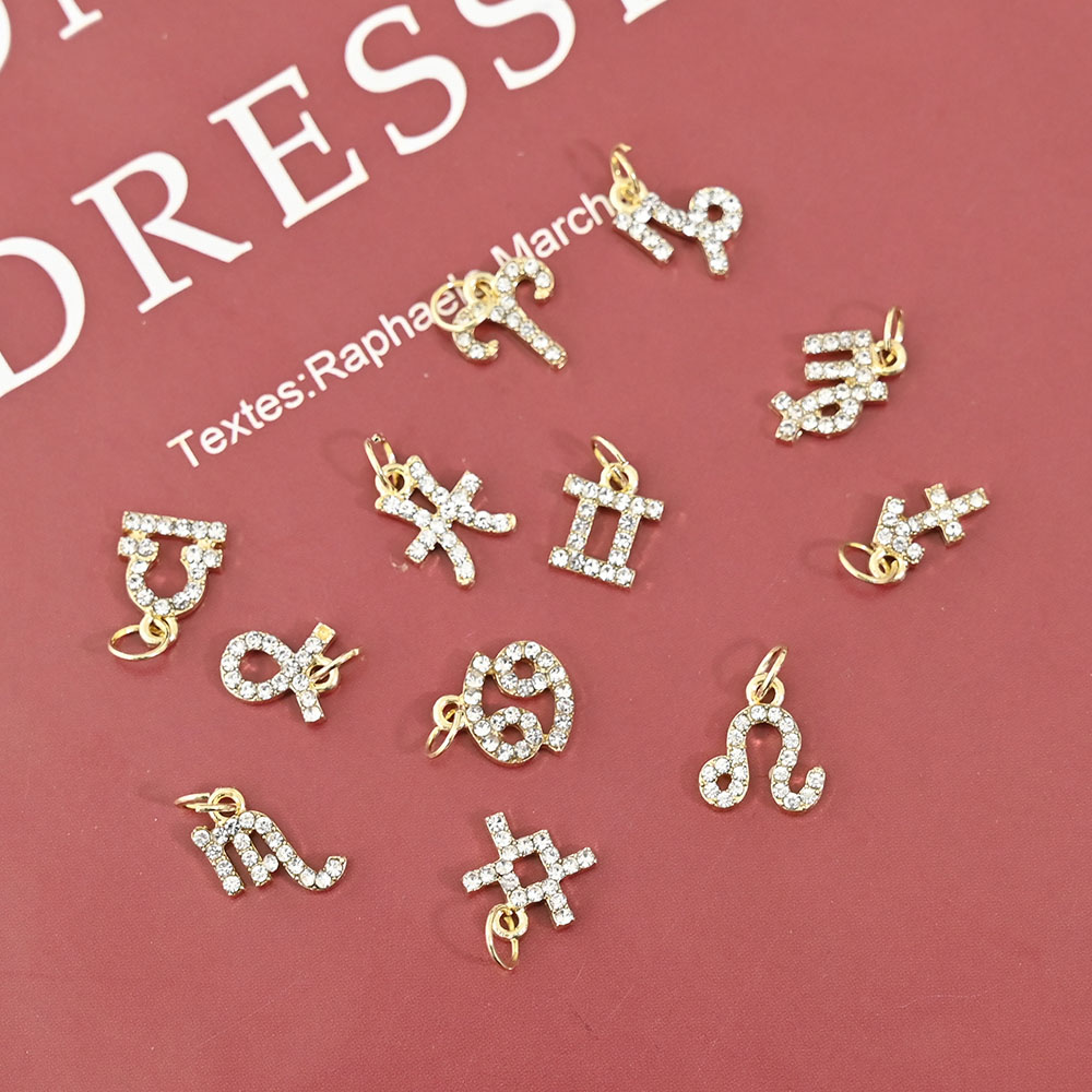 10Pcs 12 Konstellation Baumeln – Nail Art Xs Bewertung und Preis